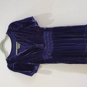 Anthropologie Velvet Maxi Dress in Royal Purple